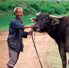 小型飼料顆粒機(jī),農(nóng)民圓夢(mèng)！