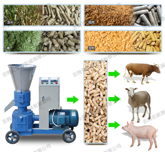 牧草顆粒機(jī)加工出來的顆粒飼料可以喂豬 牛 羊